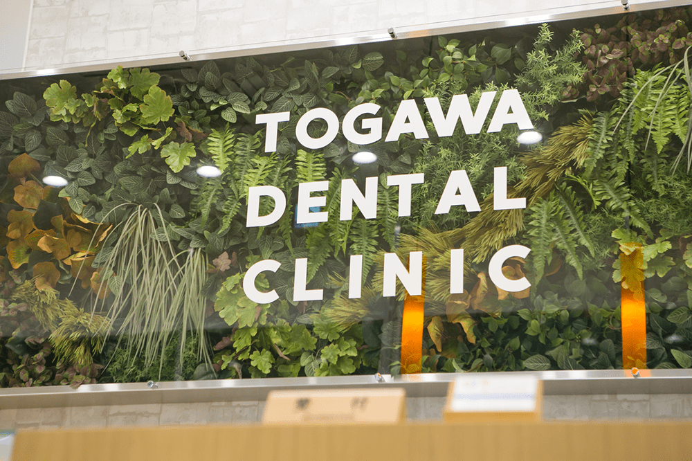 スタッフ募集｜【宝塚市の歯医者】歯科・小児歯科・こどもの小児矯正はとがわ歯科クリニック│売布・ダイエー宝塚中山店